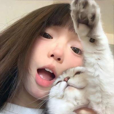 迷途之狼